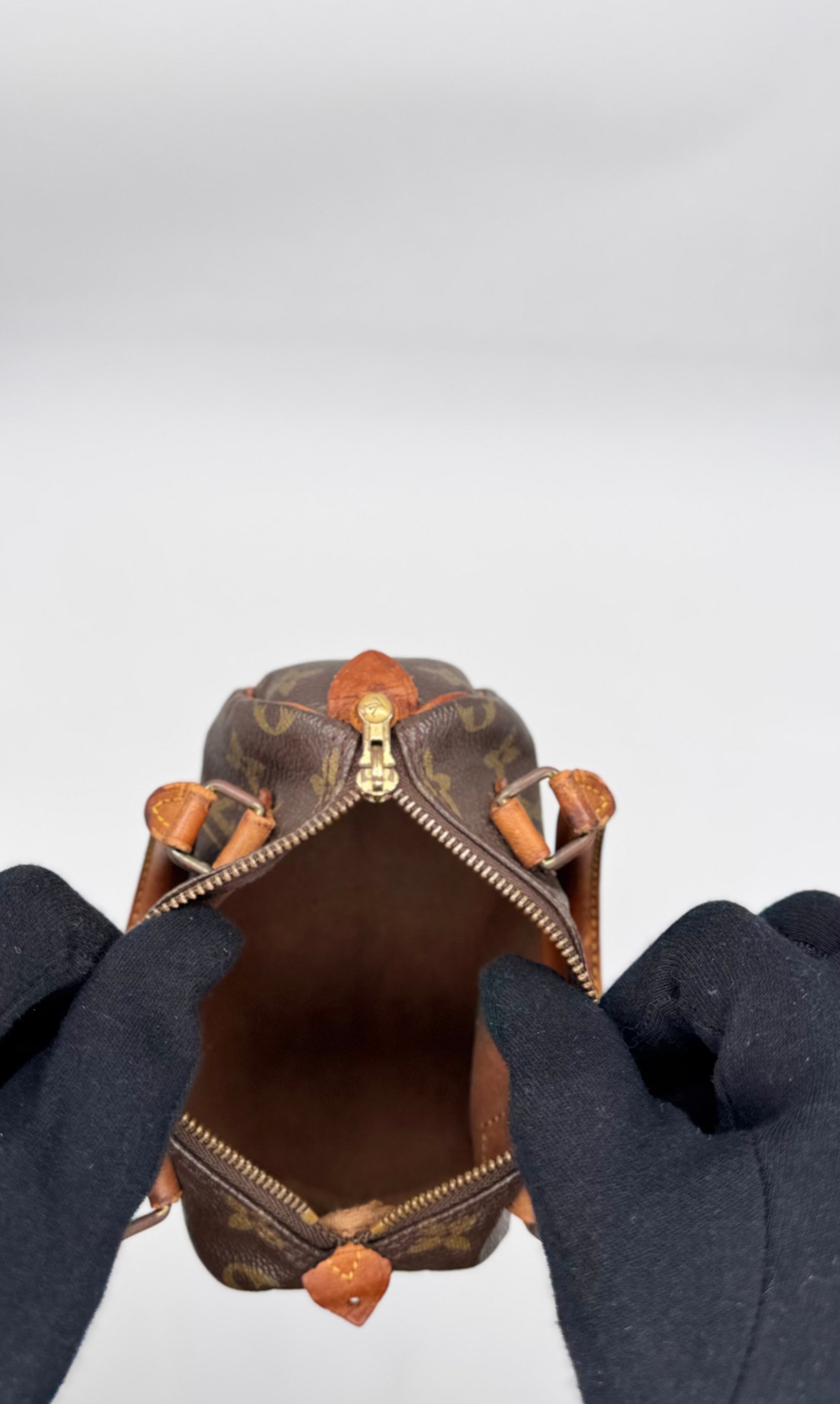 Sac Louis Vuitton Speedy Nano Vintage années 90