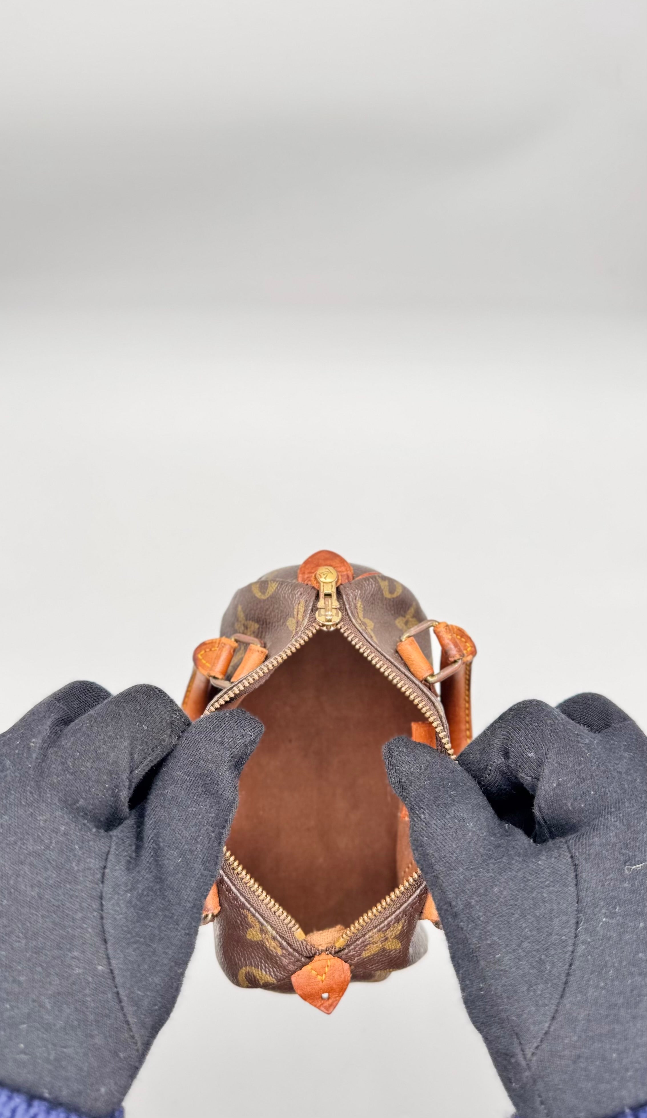 Sac Louis Vuitton Speedy Nano Vintage années 90